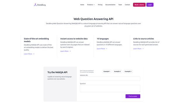 Thumbnail image for Databorg.ai