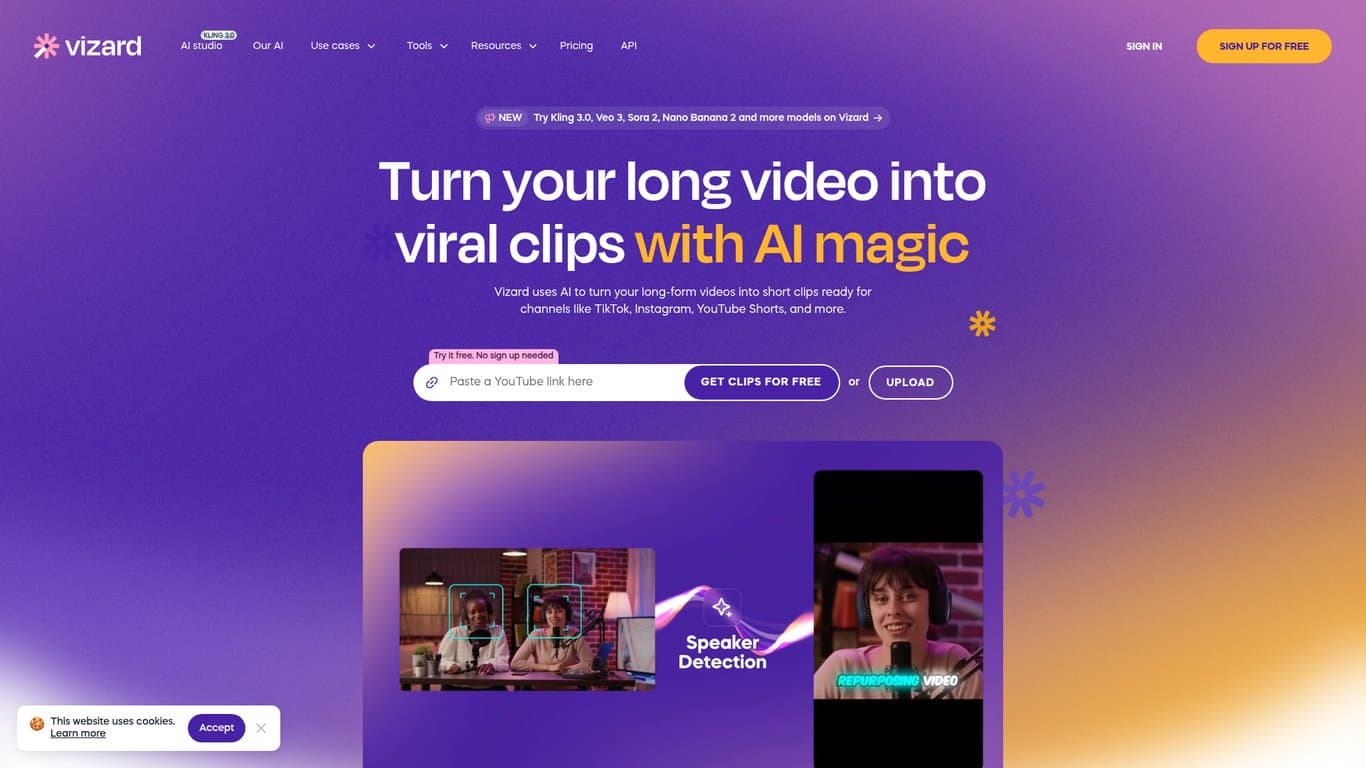 Vizard screenshot