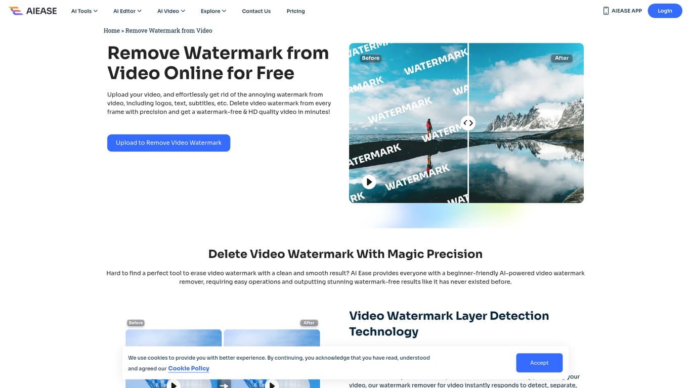 AIEase Video Watermark Remover screenshot