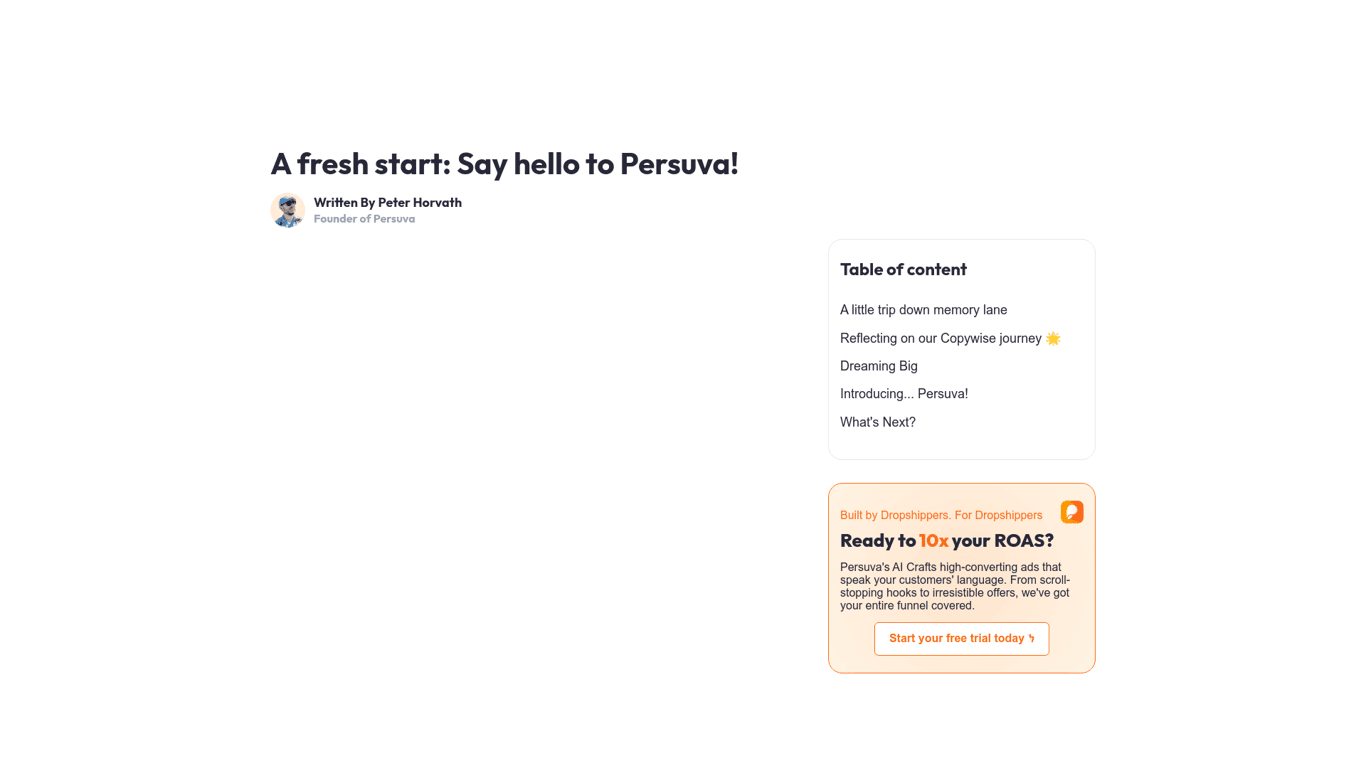 Copywise screenshot